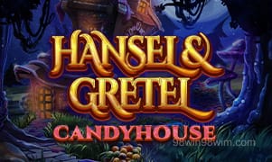 Hansel And Gretel Candyhouse
